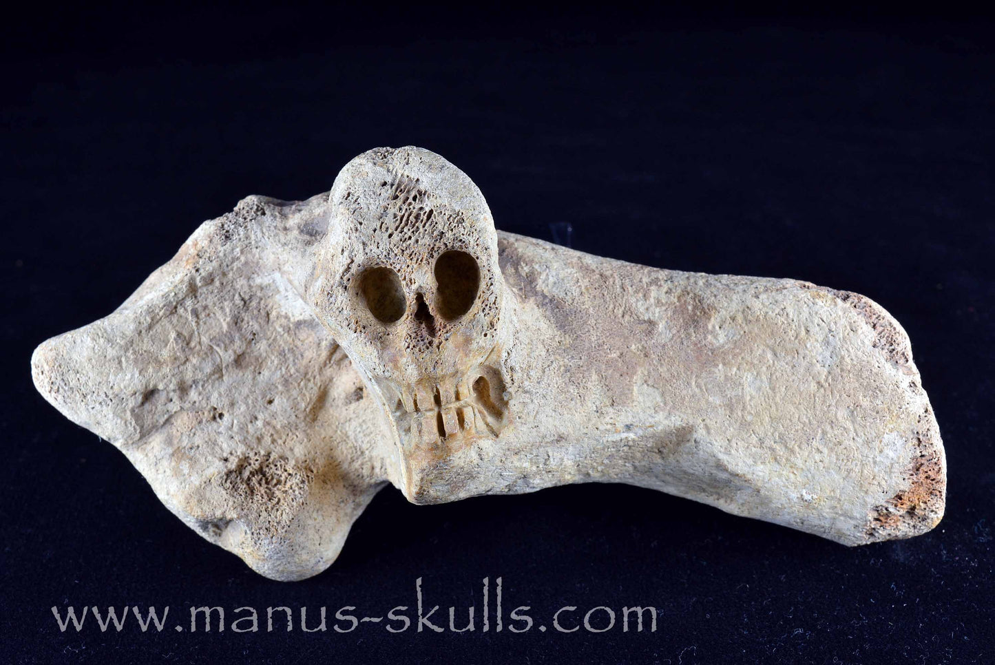 Mammoth Bone Skull