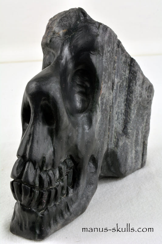 Isua Skull