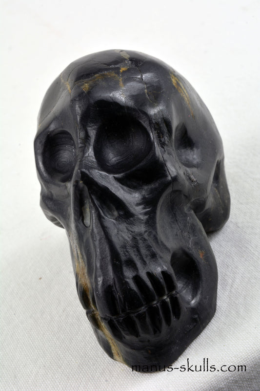 Isua Skull