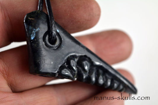 Larvikite Dragon pendant