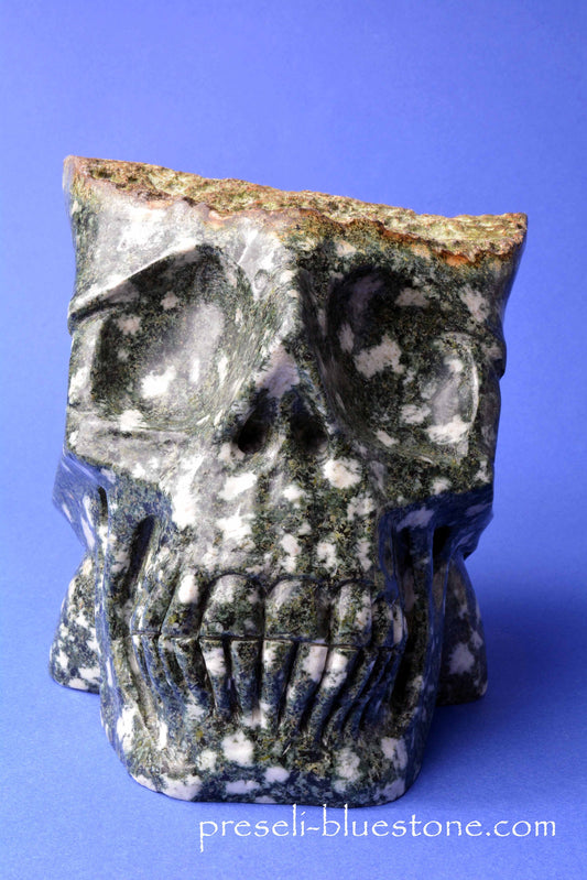 Preseli Bluestone Skull