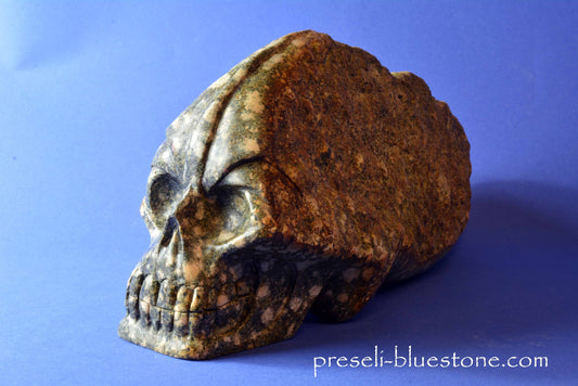 Preseli Bluestone Skull