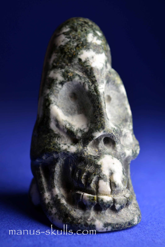 Preseli Bluestone Skull