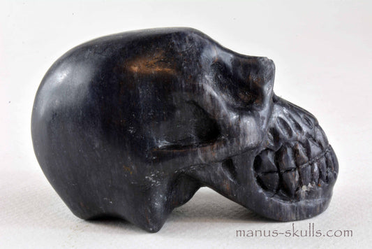 Iolite Skull