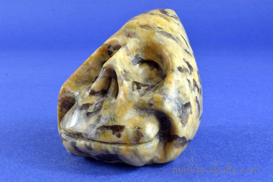 Zebradorite Skull