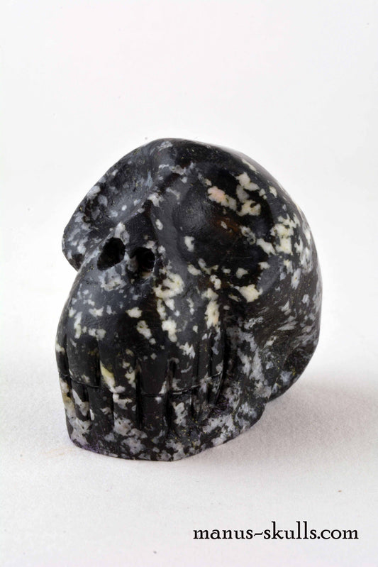 Diorite Skull