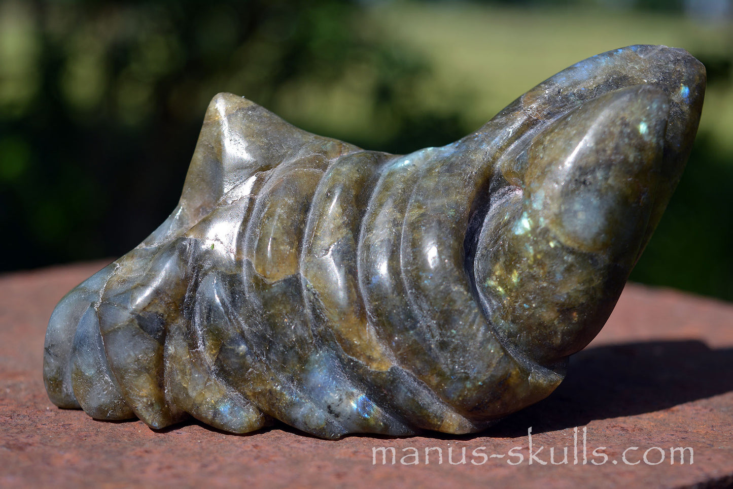 Labradorite Dragon