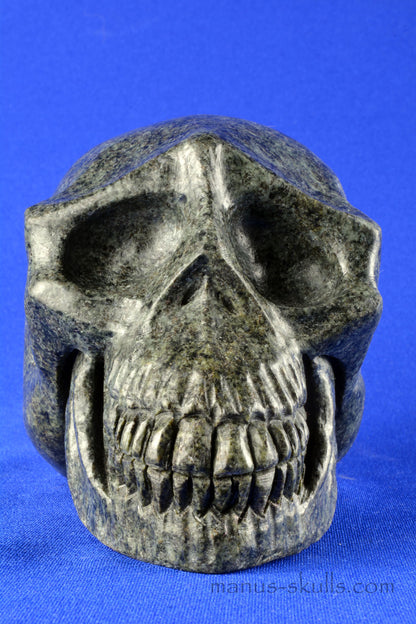 Unspotted Preseli Bluestone Spiral Skull ..... STOLEN!!!