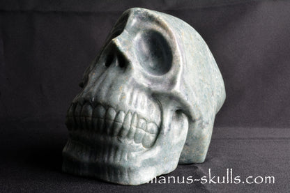 Trolleïte Conehead Skull