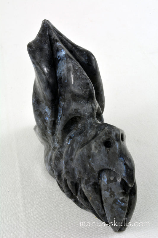 Larvikite Dragon