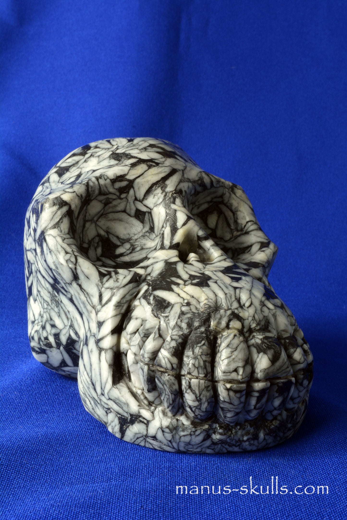 Pinolith Skull