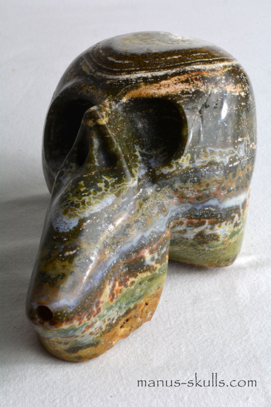 Ocean Jasper Blow of Life Skull