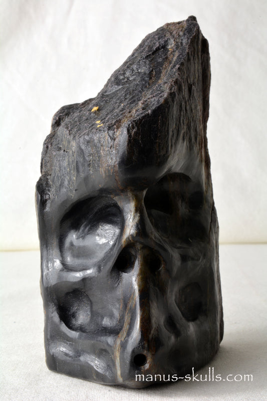 Isua Skull