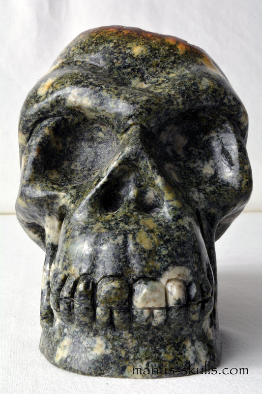 Preseli Bluestone Skull