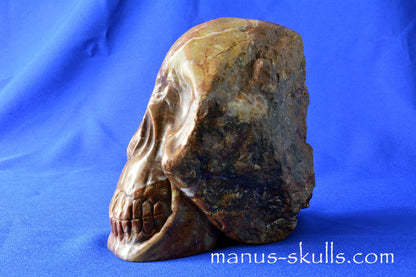Azurite Malachite Skull