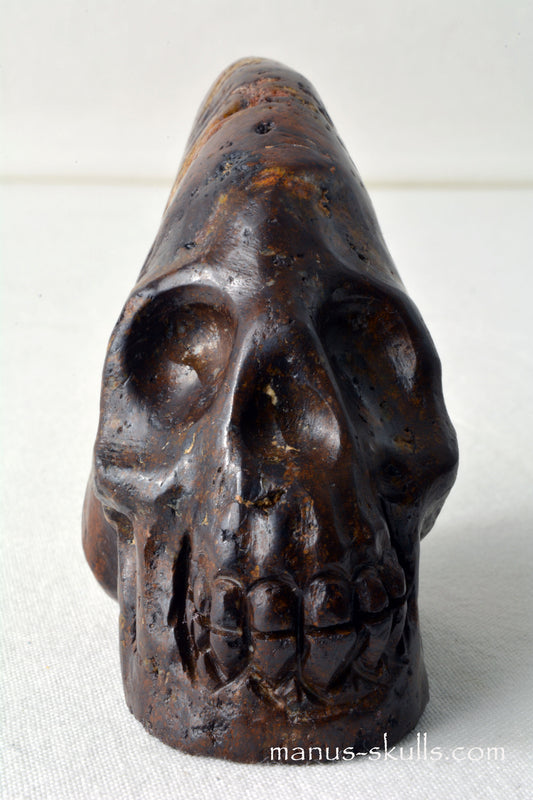 Tsesit Conehead Skull