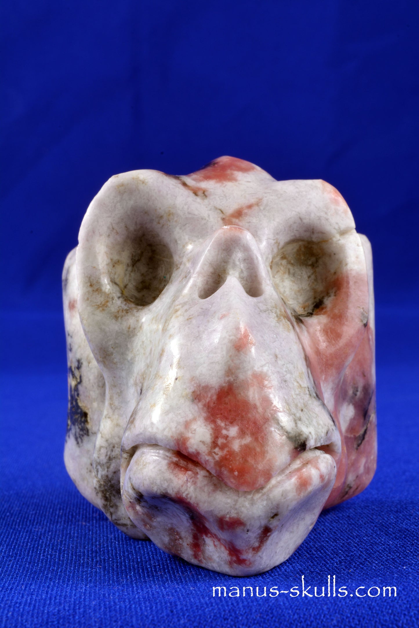 Petalite Animal Skull