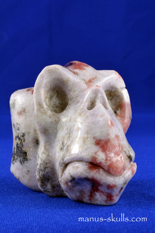 Petalite Animal Skull
