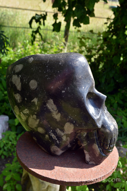 Frosterley Marble Conehead Skull