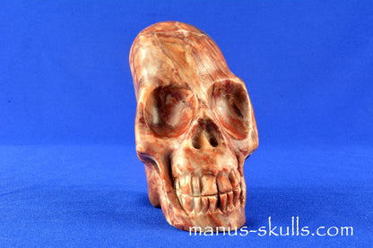 Orange Plaster (from the Harz Germany) Skull