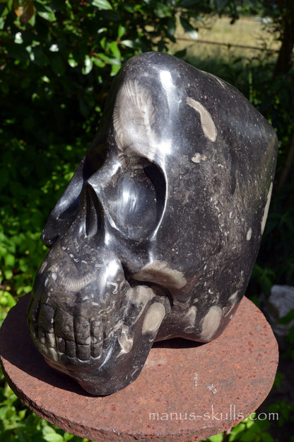 Frosterley Marble Conehead Skull