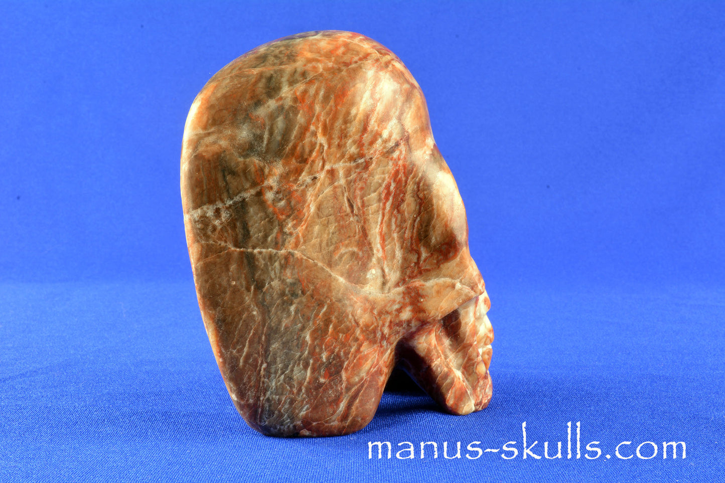 Orange Plaster (from the Harz Germany) Skull