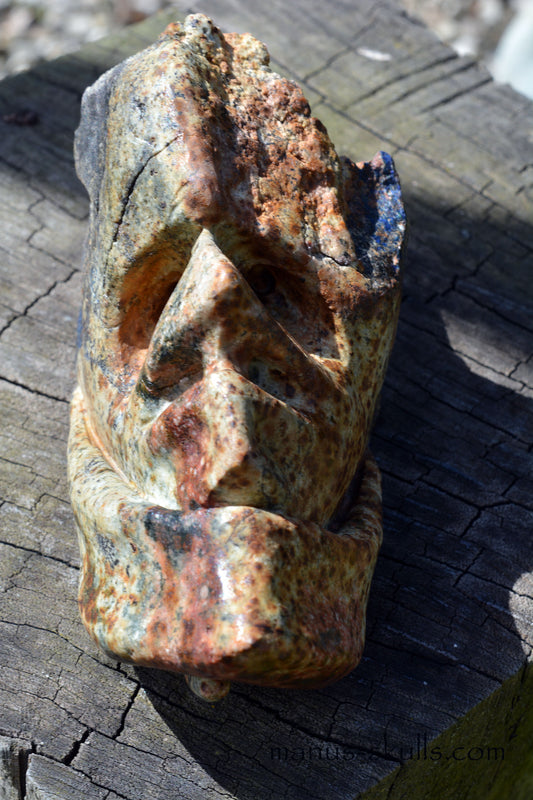 Eilat Stone Dragon Skull