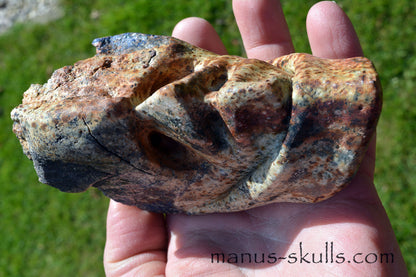 Eilat Stone Dragon Skull