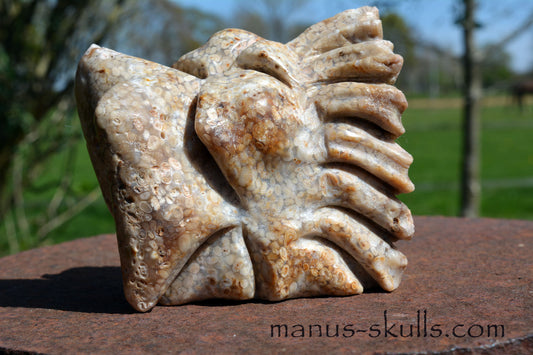 Oolite Dragon