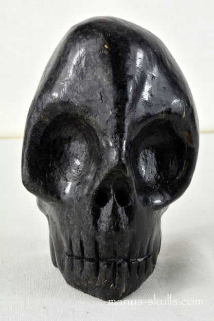Nuummite Conehead Skull
