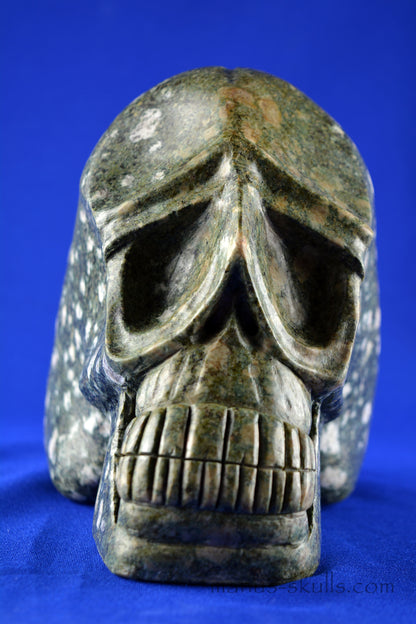 Preseli Bluestone Labyrinth Skull
