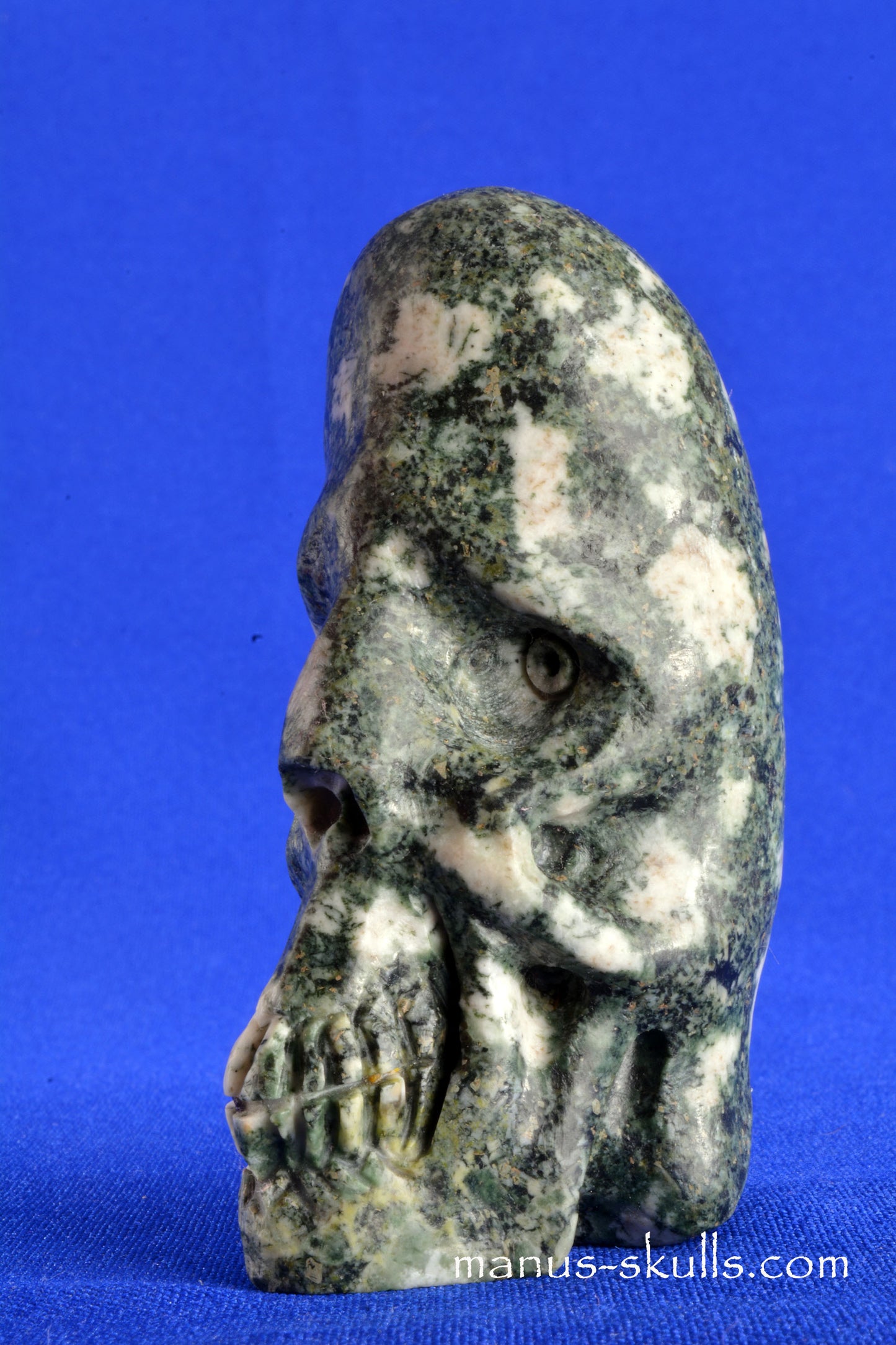 Preseli Bluestone Conehead Skull