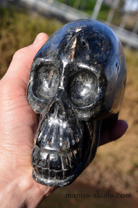 Nuummite Skull