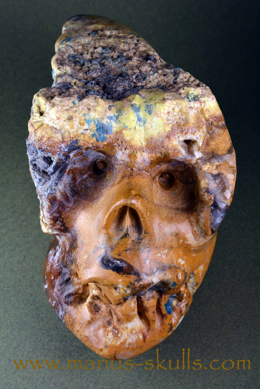 Ocean Jasper Skull