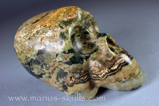 Ocean Jasper Skull