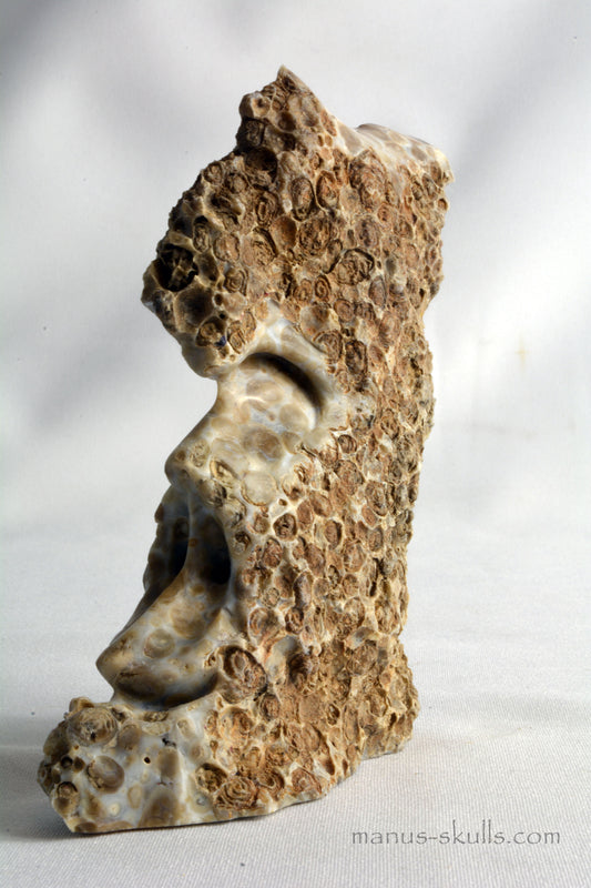 Oolite Skull