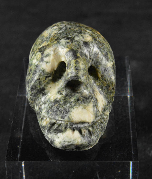 Preseli Bluestone Skull