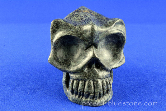 Unspotted Preseli Bluestone Skull