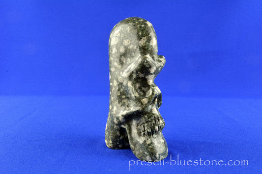 Preseli Bluestone Skull