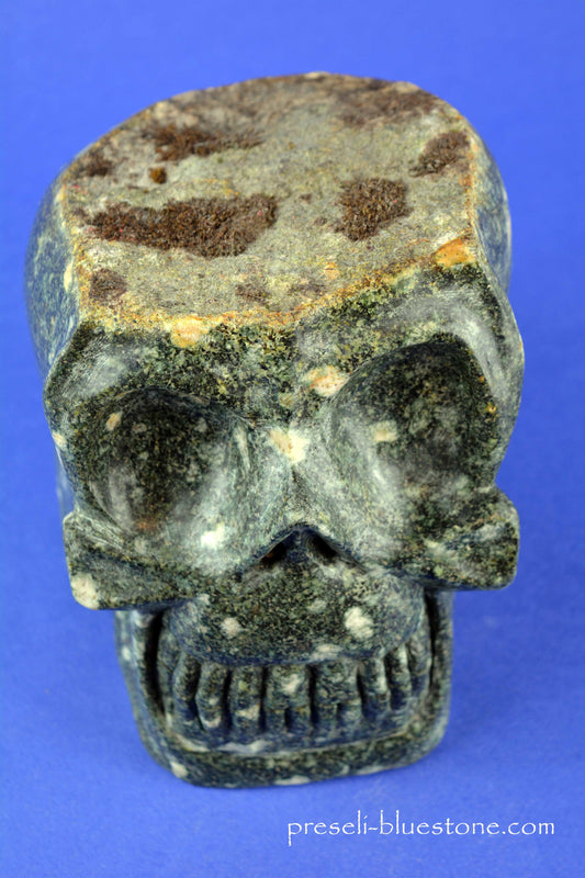 Preseli Bluestone Skull