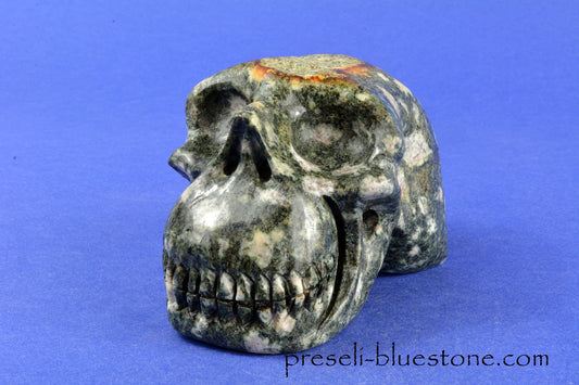 Preseli Bluestone Skull