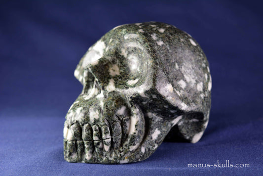 Preseli Bluestone Skull