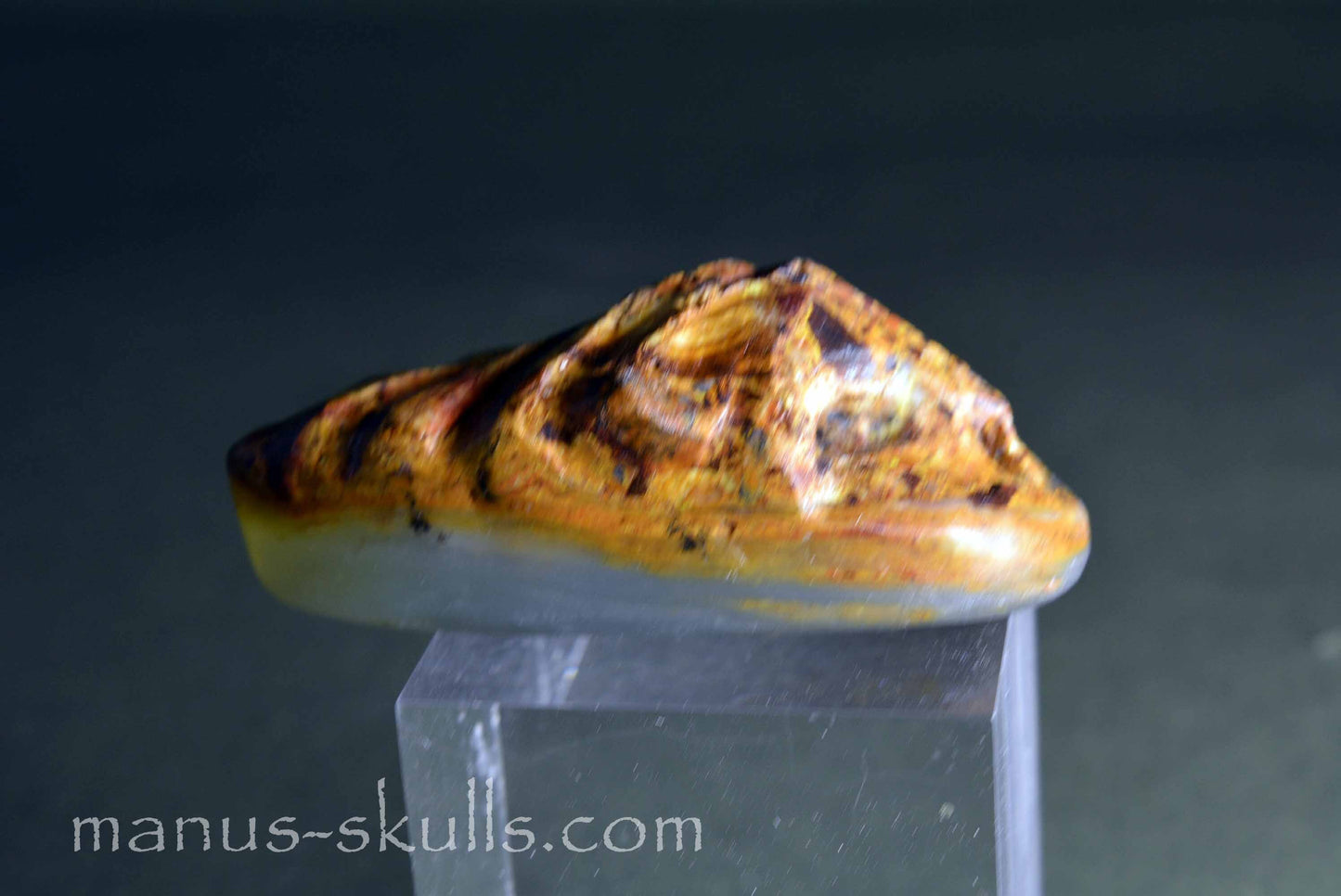 Peruvian Opal Skull