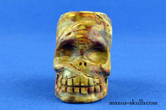 Petrified Wood Skull