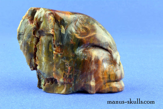 Petrified Wood Skull