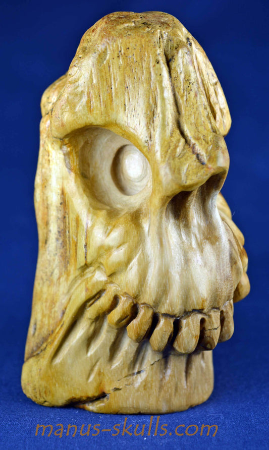 Petrified Wood Skull