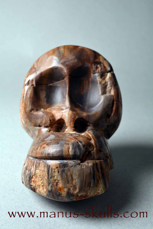 Petrified Wood Skull