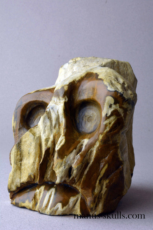 Petrified Wood Skull