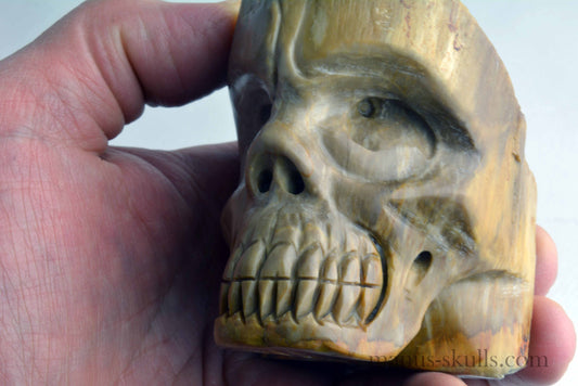 Petrified Wood Skull