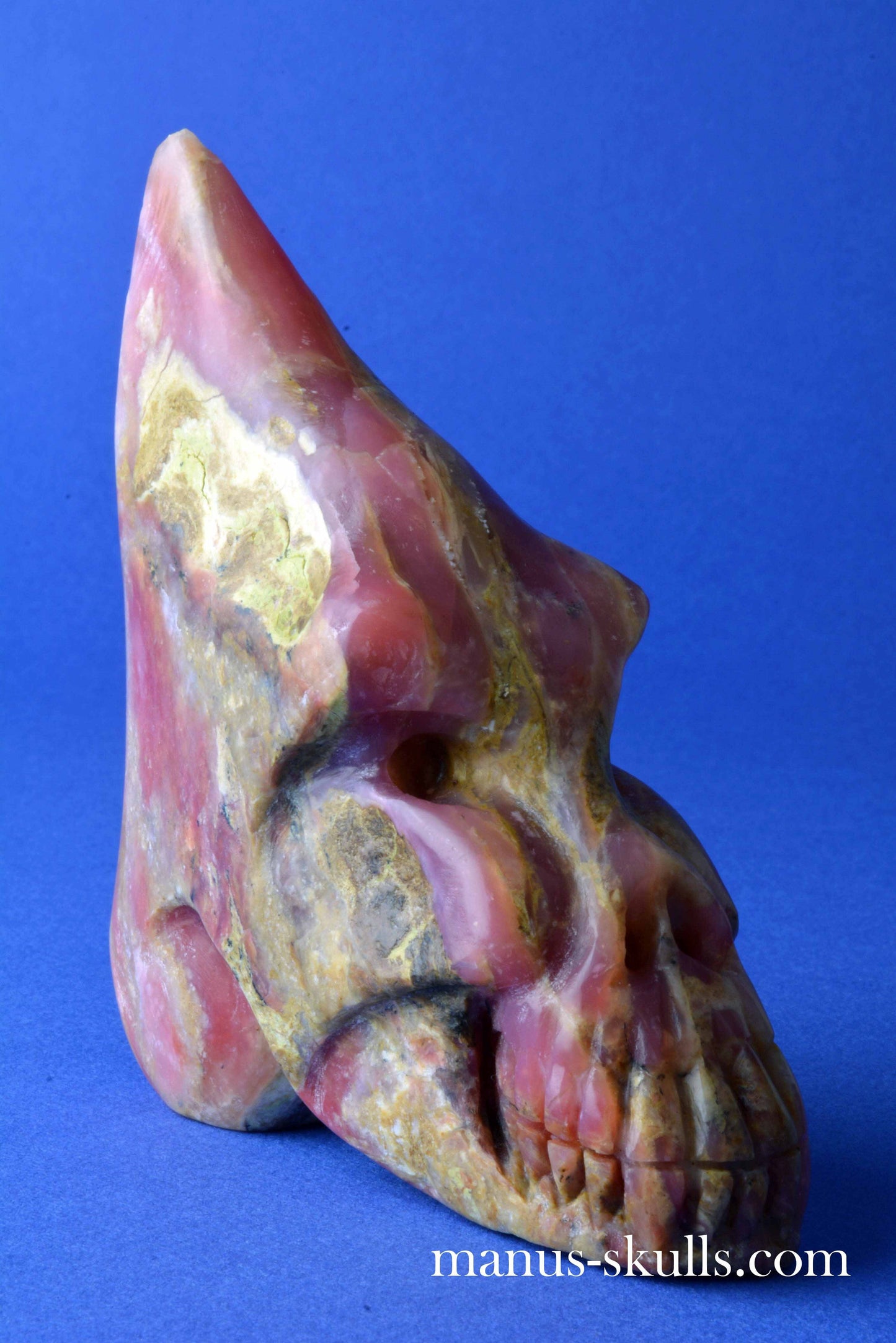 Pink Peruvian Conehead Skull